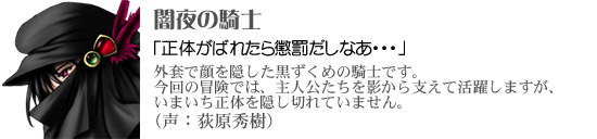 闇夜の騎士